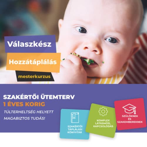 2026. február 02. Válaszkész Hozzátáplálás Mesterkurzus - szülőknek és szakembereknek
